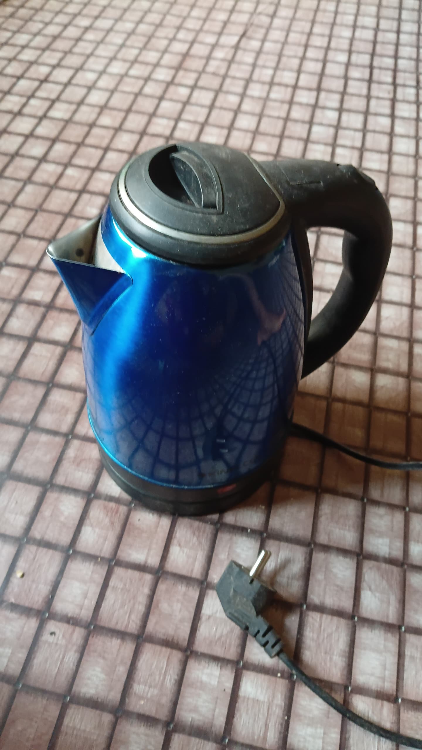 Stainless Steel Electric Kettle (Blue)